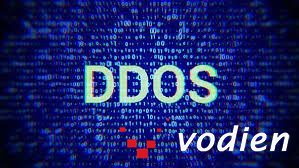 沃迪安网络,美国高防服务器,美国服务器 . 美国高防服务器如何防御DDOS流量攻击